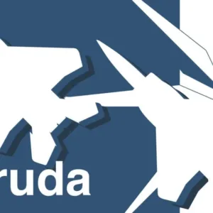 Ace Combat 6 - Garuda Team - Ace Combat Art - Patrick King Art