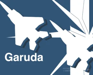 Ace Combat 6 - Garuda Team - Ace Combat Art - Patrick King Art