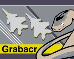 Ace Combat 5 - Grabacr Squadron - Ace Combat Art - Patrick King Art