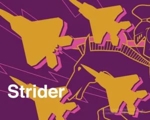 Ace Combat 7 - Strider Squadron - Ace Combat Art - Patrick King Art