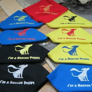 Rescue Puppy Dog Bandanas - Screen Printing - Patrick King Art